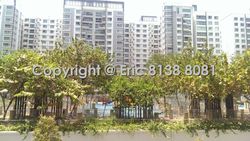 Blk 268C Punggol Field (Punggol), HDB 4 Rooms #157553402
